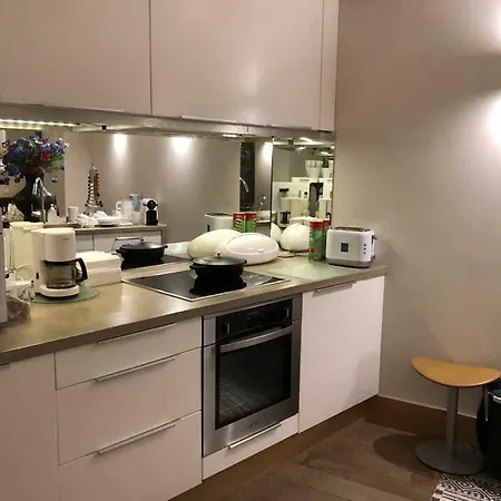 Apartamento Skydome Loft *